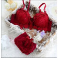 Women Push Up Bra and Panty Set Girl Floral Lace Underwear Set Underwire Brassiere.