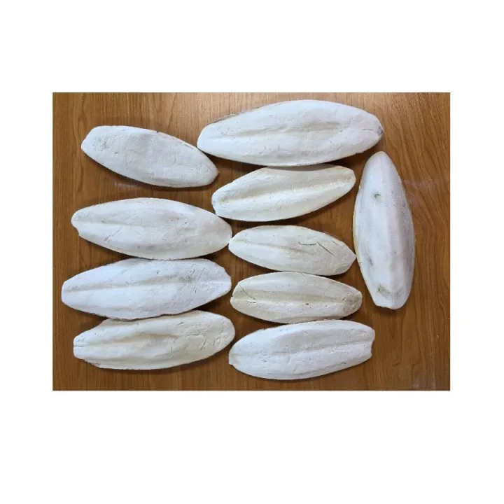 Cuttlefish%20Bone%20for%20Birds%20Cuttle%20Fish%20Bone%20Cuttle%20Bone%20for%20All%20Birds%20--%20500g%20-%20Image%205