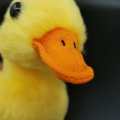 Lifelike Duck Doll Yellow Duck Plush Toy Artificial Animal Plush Toy Gift 12cm Collection Toy Simulation Duck Doll. 