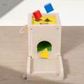 Wooden Montessori Baby Toys Early Learning Object Permanence Box 5 in 1 for Kids Children Boys Girls.