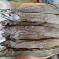 Shutki Churi Dry Fish 500 Gm Seafood Dried Fish. 