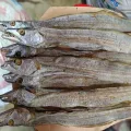 Shutki Churi Dry Fish 500 Gm Seafood Dried Fish.