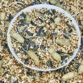 Ringneck Parrot Premium Seed Mix For Birds-500g. 