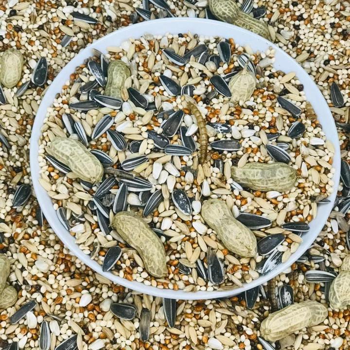 Ringneck Parrot Premium Seed Mix For Birds-500g