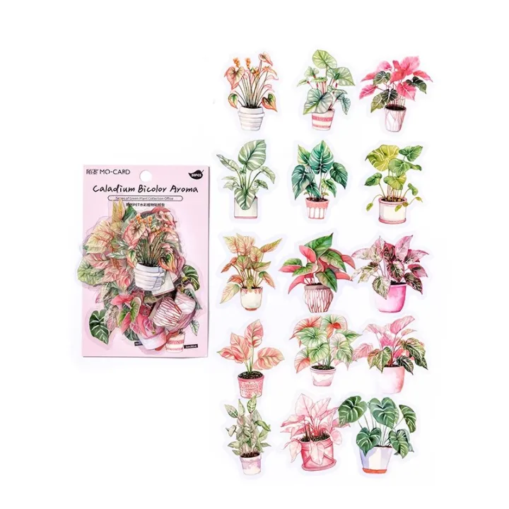 30pcs/pack%20Aesthetic%20Potting%20Plant%20PET%20Stickers%20DIY%20Scrapbooking%20Planner%20Collage%20Stationery%20Aesthetics%20Decor%20Flower%20Stickers%20-%20Image%206