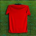 Bangladesh Fan Short Sleeve Collar Polo Football Jersey - Half Sleeve Collar Polo T Shirt - Bangladesh Fan Jersey.
