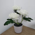 New Solar Peony Flower Lamp LED Simulation Peony Flower Potted Lamp Home Ornament Decorative Table Lamp Night Light. 