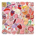 65Pcs Cartoon Human Body Organ Stickers Waterproof Sticker Anatomy Map Decals for Water Bottle Laptop Luggage Phone Kids Toys.