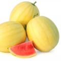 Yellow Lazy melon king watermelon bonsai red meat garden balcony potted vegetableS-10 pcs seedS. 