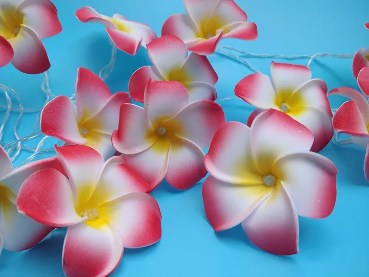 plumeria%20flower%20led%20string%20light%20/Kath%20Golap%20fairy%20light%20%20bedroom%20decorative%20party%20-%20Image%205