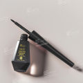 Everly Beauties Flick Perfection 24H Waterproof Liquid Eyeliner. 