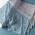MiiOW Summer Boxer Shorts for Men - Breathable Polyester Mesh Style with Transparent Design - M1020. 