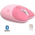Mofii Bluetooth Wireless Mouse Computer Mouse Cute Cat 2.4G Wireless Mice Ergonomic Gaming Mouse Compatible with Ipad /Laptop. 