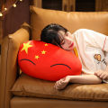 30cm Countryball Plush Toys Kawaii Stuffed Pillow Polandball European Union East Germany Canada Italy Switzerland Kid Room Decor. 