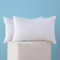 cotton Fiber White Cushion 20x12 Inch 2 Pcs.
