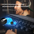 BOMGE U202 USB Audio Interface with Mic Preamplifier XLR/TSR/TS Ports,48V,32-Bit/192kHz Resolution for computer recording,Streaming ,Podcasting.