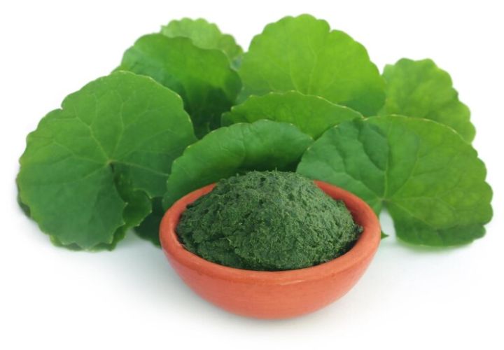 Centella%20Leaf%20Powder%20(Thankuni%20Pata)%20-%20100g%20-%20Image%203