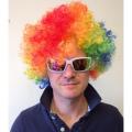 Adult Multi Coloured Rainbow Circus Curly Afro Clown Wig Halloween Fancy Dress. 