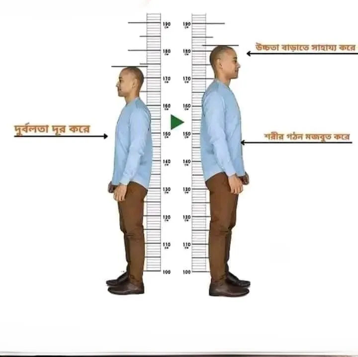 Height%20Develop%20-%20Image%204