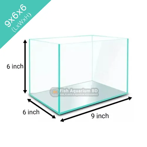 Glass%20Made%20Deshi%20Aquarium%20For%20Fish%20(Small%20Size%209x6x6%20Inches)%20-%20Image%203