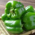 Premium Quality All Season Green Color Capsicum Seeds 22pics + Gift. 