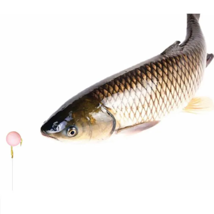 %E3%80%90Tech-savvy%E3%80%91%20Carp%20Foam%20Floats%20Ball%20Beads%20Beans%20Fishing%20Lure%20Boilies%20Sweet%20Smell%20Floating%20Bait%20SUPER%20BABY%20-%20Image%207