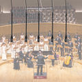 HT-320G HT-320H Mini Hanging Condenser microphone,Hanging choral condenser Mic,Instrumental condenser Mic. 
