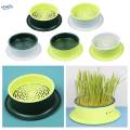 Box Cats Snack Tray Cats Grass Planting Box Tray Green Base Yellow.