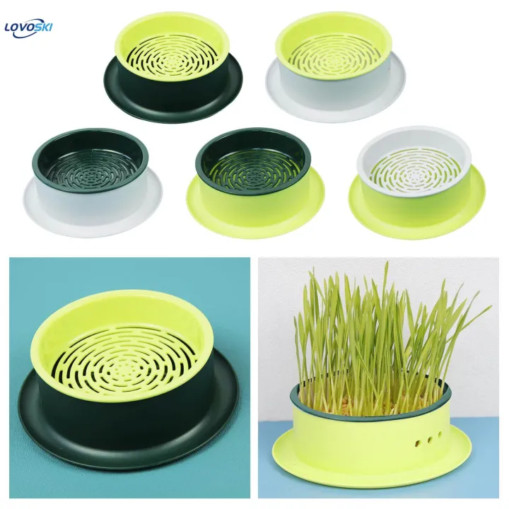 Box%20Cats%20Snack%20Tray%20Cats%20Grass%20Planting%20Box%20Tray%20Green%20Base%20Yellow%20-%20Image%207