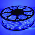 Led Strip Light Waterproof With Driver Blue Colour - Light. 