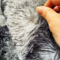Gray Carpet for Living Room Plush Rug Bed Room Floor Fluffy Mats Anti-slip Home Decor Rugs Soft Velvet Carpets Kids Room Blanket. 