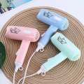 Travel & Portable Reimiogton Salon Hair Care Fashion Mini Hair Dryer.