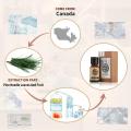 AKARZ Pine Needle Essential Oil Natural biosis Refreshment Sterilization Wound Healing Pine Needle Oil. 
