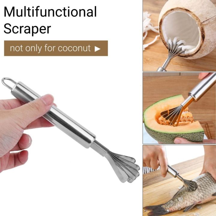 Stainless%20Steel%20Coconut%20Meat%20Removal%20/%20Coconut%20Meat%20Grater%20Slicer%20Fish%20Scale%20Planning%20-%20Image%205
