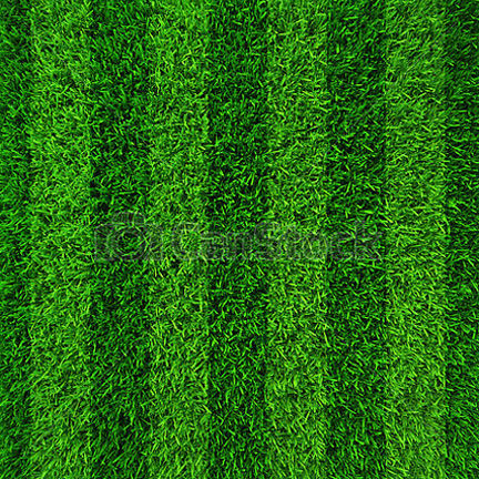 Lawn%20Grass%20(%E0%A6%95%E0%A6%BE%E0%A6%B0%E0%A7%8D%E0%A6%AA%E0%A7%87%E0%A6%9F%20%E0%A6%98%E0%A6%BE%E0%A6%B8)%20Seed/%E0%A6%AC%E0%A7%80%E0%A6%9C-%20200%20Pcs%20Seeds%20-%20Image%203