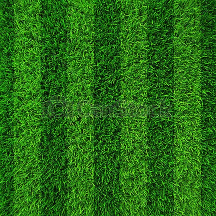 (All%20Season)%20Sports%20Field%20Green%20Grass%20Seeds%20(Seeds)%20-%20200+%20Pcs%20Seeds%20-%20Image%202