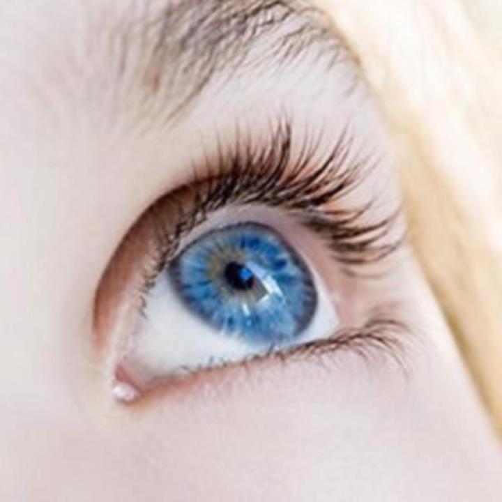 Freshlook Brilliant Blue contact lens