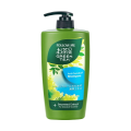 International Malaysian product Hair care item Follow Me Anti Dandruff shampoo for male/female - 650 ml.