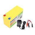 Doublepow 12V 21Ah Rechargeable Battery for 12V DC Water Pump & Solar System use (If used in solar system must have solar controller) with 1 Piece AC-DC Adapter For Charging From AC - 1 Piece. 