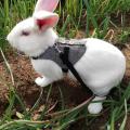 Soft Rabbit Breathable Harness with Leash Gentlemanly Style.