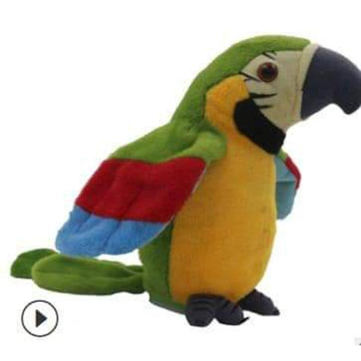 Talking%20and%20Dancing%20Parrot%20for%20Kids%20Fun%20-%20Image%202