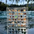 GC Magnetic Seashell Display Box Dustproof Stackable Transparent Acrylic Display Box Ornament Birthday Gifts For Men Women. 