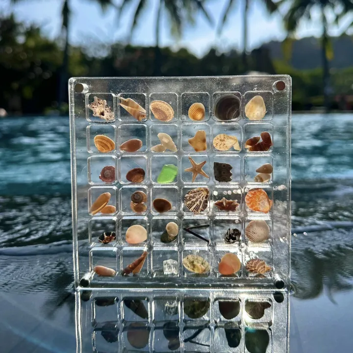 GC%20Magnetic%20Seashell%20Display%20Box%20Dustproof%20Stackable%20Transparent%20Acrylic%20Display%20Box%20Ornament%20Birthday%20Gifts%20For%20Men%20Women%20-%20Image%204