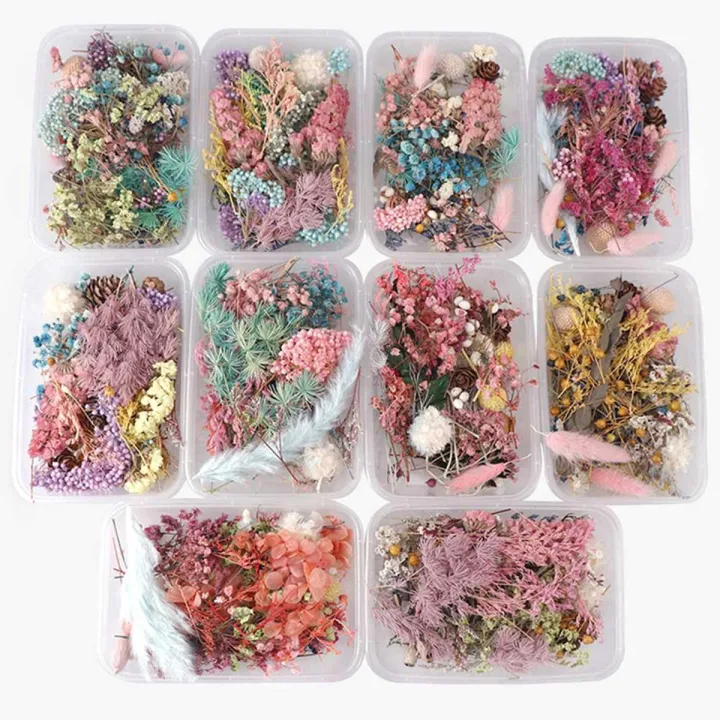 %E3%80%90In-Demand%20Item%E3%80%91%20Dried%20Flowers%20Natural%20Floral%20Art%20Craft%20Scrapbooking%20Resin%20Jewelry%20Making%20mold%20Cherry%20Super%20Store%20-%20Image%208