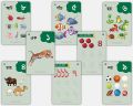TownStore Early learning Preschool Bangla Activity Flash Cards for Ages 3+ Kids Including Alphabet, Numbers, Colors, Shapes, Days, Months, Direction with Brainstorming Activities - 96 Flash Card. 