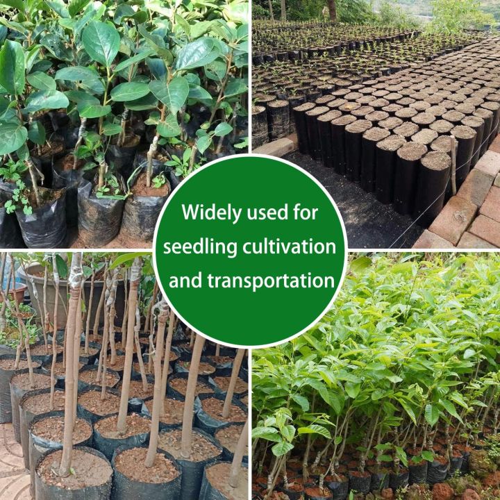 Nursery%20Growing%20Bags,%2016''x16"%20%C3%ADnch100%20Pcs%20Black%20poly%20Bag%20Plastic%20Seedling%20Pots%20for%20Gardening%20Seed%20Plant%20Bags,%20Fruit%20Tree%20Seedling,%20Starting%20saplings(16''x16")%20Black%20nursery%20poly%20bag%20gardening%20black%20poly%20bag%20-%20Image%203