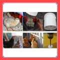 VibeVendor 50Pcs Poultry Chicken Drinker Spring Type Bird with Automatic Water Dispenser Chicken Mouth Bird Water.