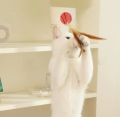 Interactive Cat Teaser Toy – Elastic Feather Ball Stick for Cat Exercise & Self-Play.