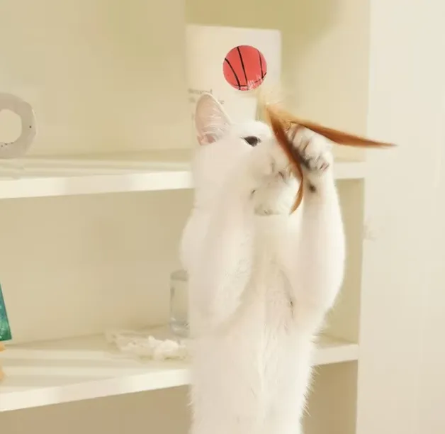 Interactive%20Cat%20Teaser%20Toy%20%E2%80%93%20Elastic%20Feather%20Ball%20Stick%20for%20Cat%20Exercise%20&%20Self-Play%20-%20Image%203
