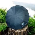 BMW Motorsport Automatic Umbrella – 10 Ribs, Windproof And UV Protected. 